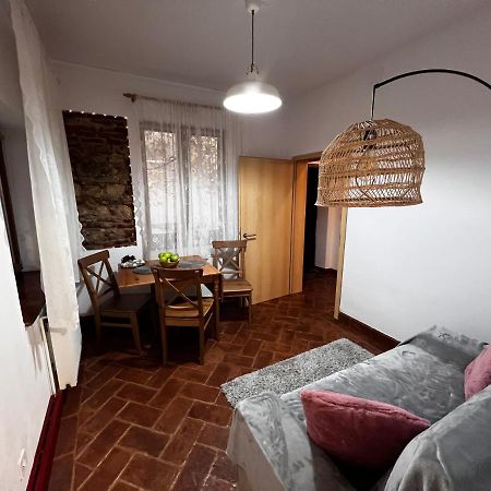 Eden Garden Apartment Brașov Exterior foto